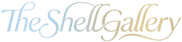 The Shell Gallery