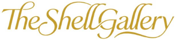The Shell Gallery